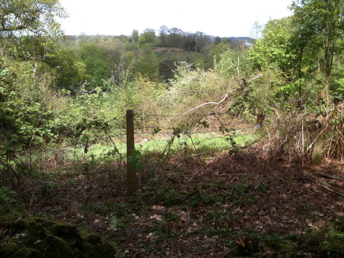 View to the Terrace